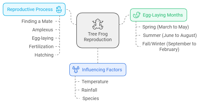 What month do tree frogs lay eggs