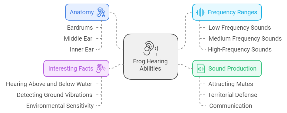 Can frogs hear sound